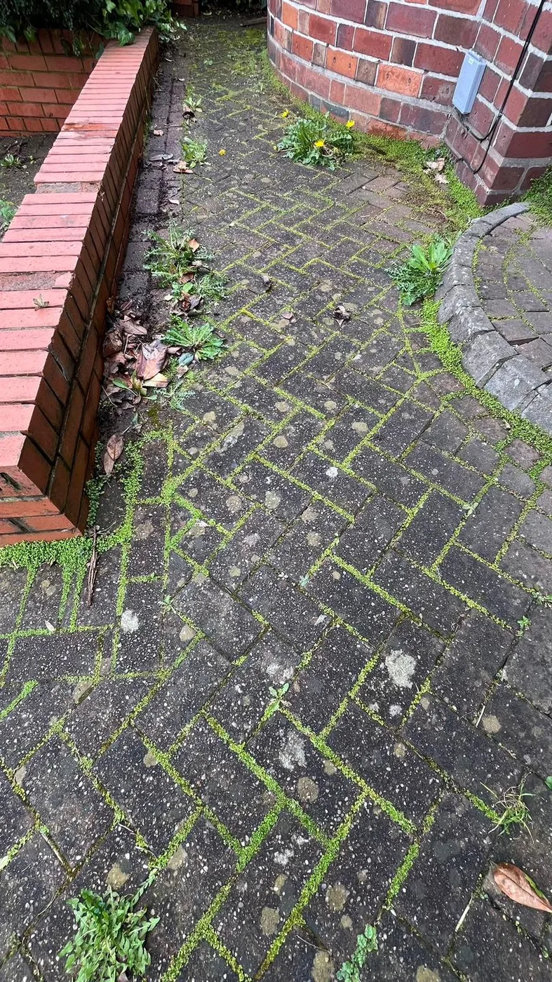 Dirty, stained path and brickwork before jet washing