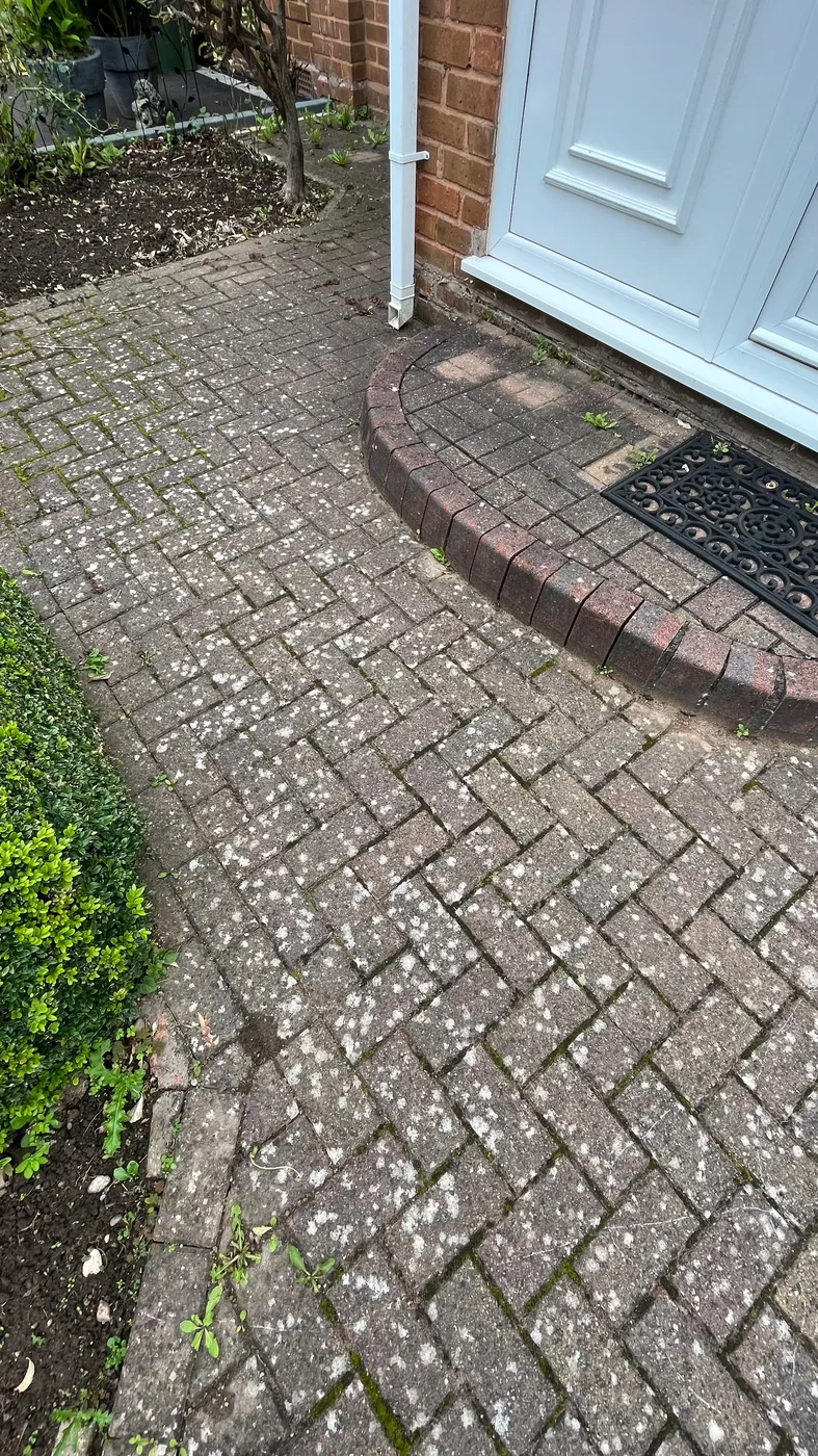 Lichen spotted block paved front path before treatment